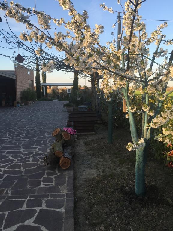 Dolce Casetta Faenza Eksteriør bilde